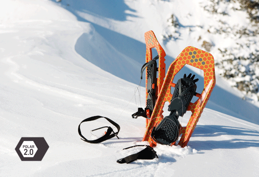polar 2.0
